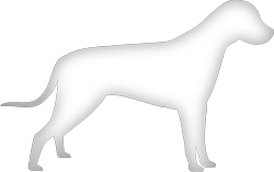 dog symbol